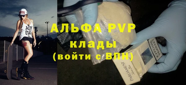 индика Касимов