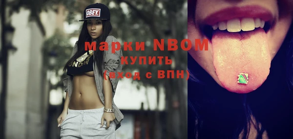 индика Касимов