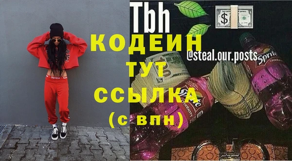 индика Касимов