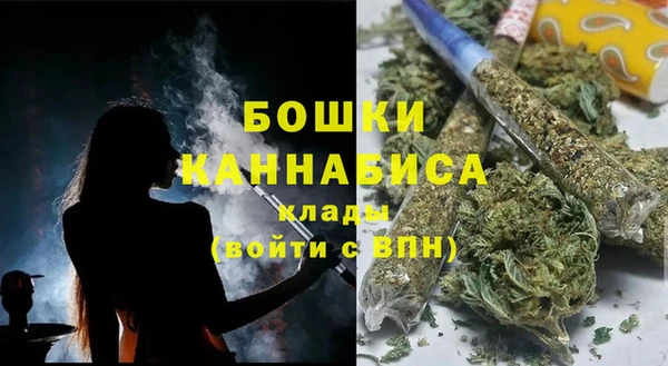 индика Касимов