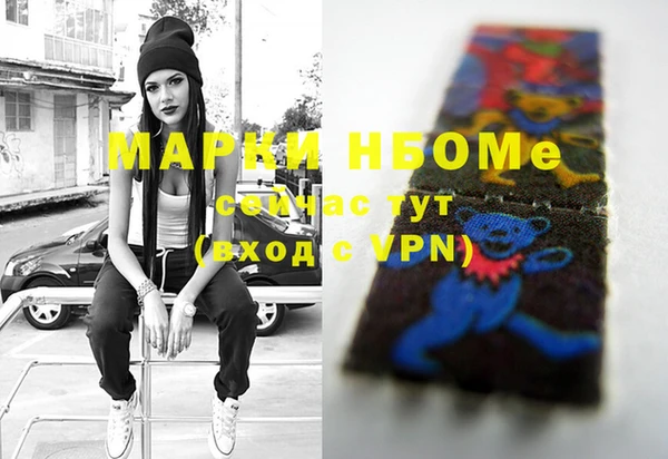 индика Касимов