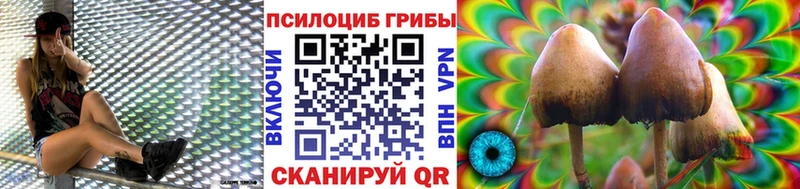 Галлюциногенные грибы Magic Shrooms Славянск-на-Кубани